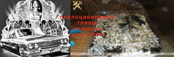 дурь Новозыбков